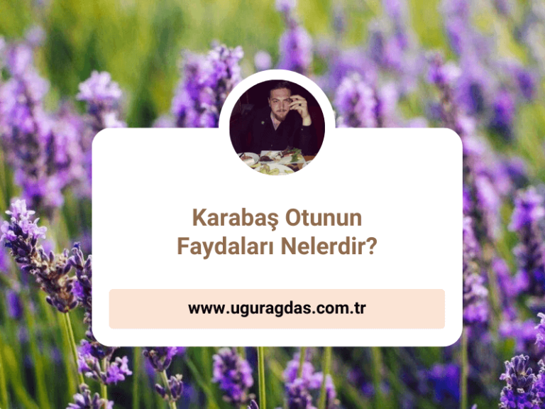 Karabaş Otunun Faydaları Nelerdir?