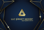 LLC Şirket Nedir?