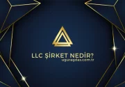 LLC Şirket Nedir?
