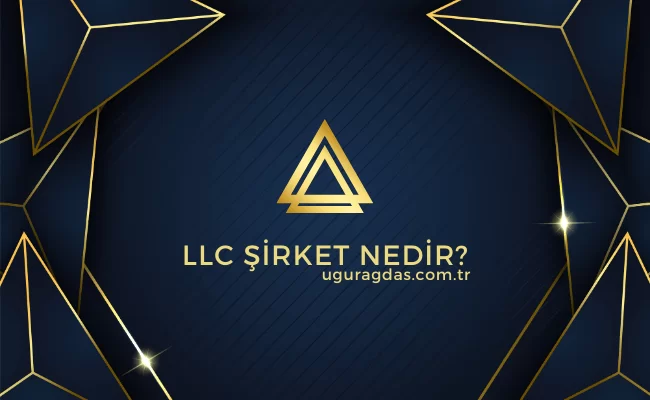 LLC Şirket Nedir?