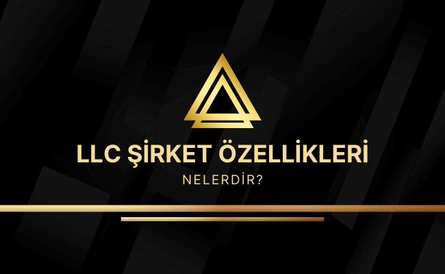 LLC Şirketin Özellikleri