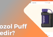 Vozol Puff Nedir?