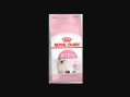 Royal Canin Kitten Sağlıklı mı?