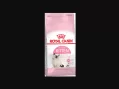 Royal Canin Kitten Sağlıklı mı?