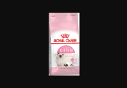 Royal Canin Kitten Sağlıklı mı?