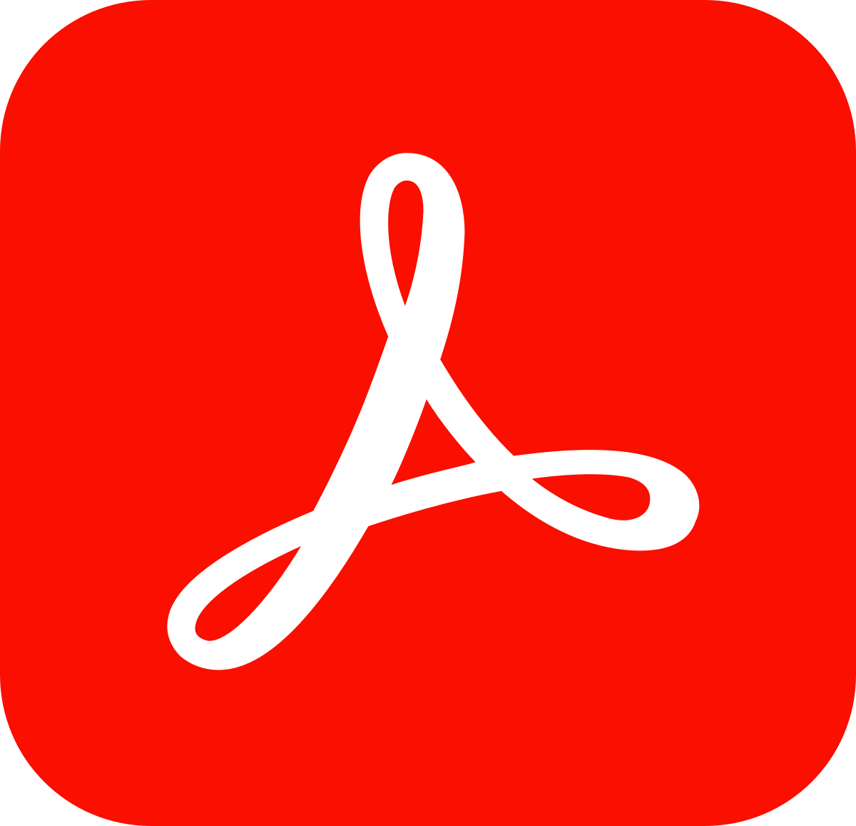 Acrobat Pro Nedir?
