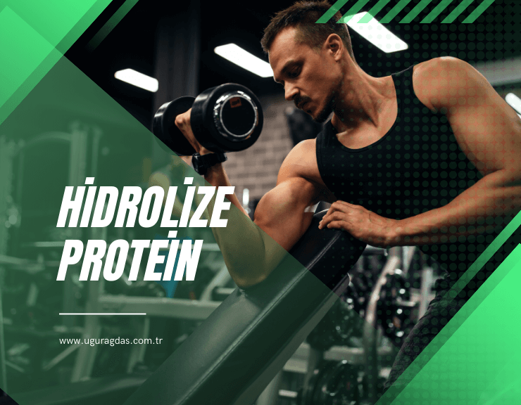 hidrolize protein ne işe yarar