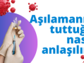 Aşılamanın Tuttuğu Nasıl Belli Olur?