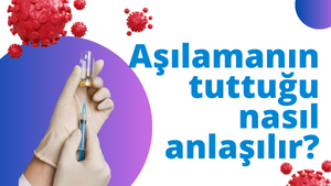 Aşılamanın tuttuğu nasıl anlaşılır