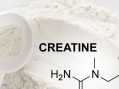 Kreatin Kullanımı Hakkında Bilgi