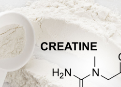 Kreatin Kullanımı Hakkında Bilgi