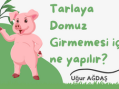 Tarlaya Domuz Girmemesi İçin Ne Yapılır?