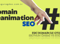 Domain Reanimation SEO Tekniği Nedir? Eski Domainle Otorite Kazanmanın Yolu