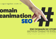 Domain Reanimation SEO Tekniği Nedir? Eski Domainle Otorite Kazanmanın Yolu