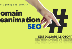 Domain Reanimation SEO Tekniği Nedir? Eski Domainle Otorite Kazanmanın Yolu