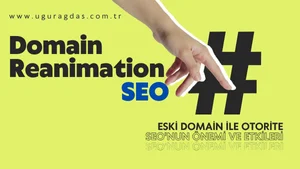 Domain Reanimation SEO Tekniği Nedir? Eski Domainle Otorite Kazanmanın Yolu