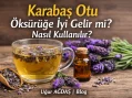 Karabaş Otu Öksürüğe İyi Gelir mi?