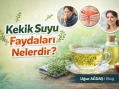 Kekik Suyu Faydaları Nelerdir?