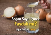 Soğan Suyu İçmek Faydalı mı?