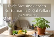 Evde Sivrisineklerden Kurtulmanın Doğal Yolları