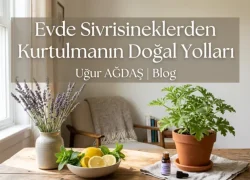 Evde Sivrisineklerden Kurtulmanın Doğal Yolları