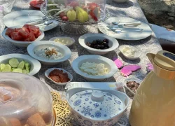 İstanbul’un Yanı Başında Bir Hafta Sonu Ritüeli: Doğal Kahvaltı ve Atlı Safari Deneyimi 1 İstanbul’un Yanı Başında Bir Hafta Sonu Ritüeli: Doğal Kahvaltı ve Atlı Safari Deneyimi
